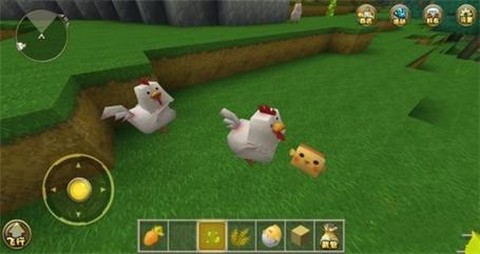 迷你世界小鸡怎么养[图2]