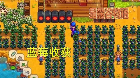 星露谷物语蓝莓怎么种[图1]