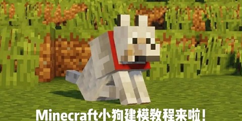 我的世界怎么驯服狗[图2]