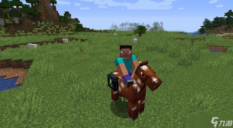 我的世界骷髅马怎么骑[图2]