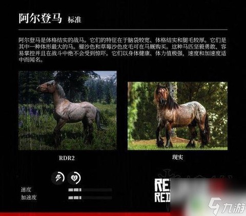 荒野大镖客2什么马大[图2]