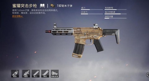 绝地求生狗子是什么枪[图1]