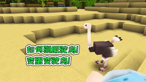 迷你世界怎么驯服驼鸟[图1]