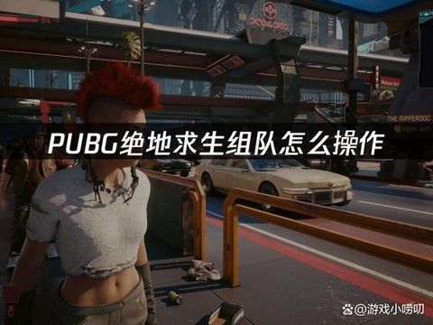 绝地大逃杀怎么组队[图2]